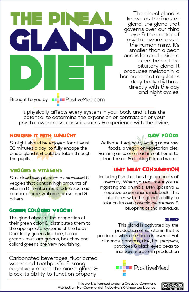 The Pineal Gland Diet