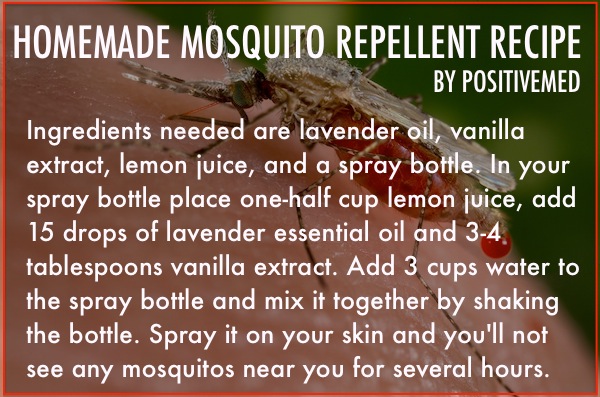 mosquito repellent recipe