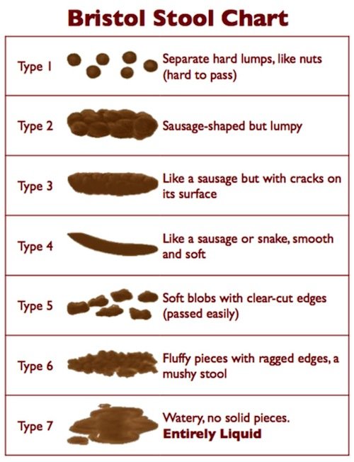 stool chart