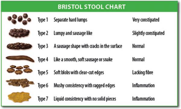 poop chart__1443891911_173.199.221.67