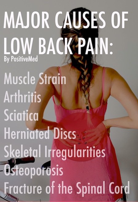 back muscles and low back pain