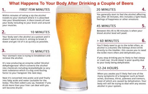 See What Happens To Your Body After Drinking a Couple of Beers