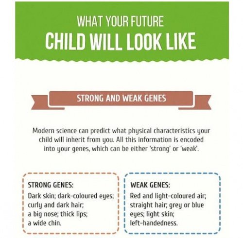 Gene Predictors