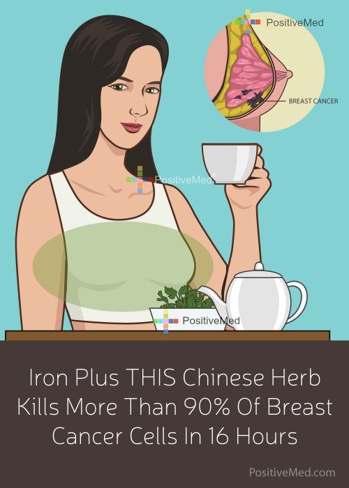 Iron Plus THIS Chinese Herb Kills More Than 90% Of Breast Cancer Cells In 16 Hours