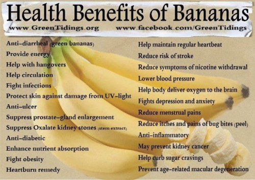 Eating Banana Daily Increases Weight Loss