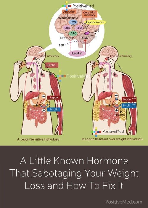 A Little Known Hormone That Sabotaging Your Weight Loss and How To Fix It