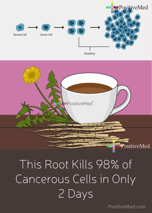 This Root Kills 98 of Cancerous Cells in Only 2 Days