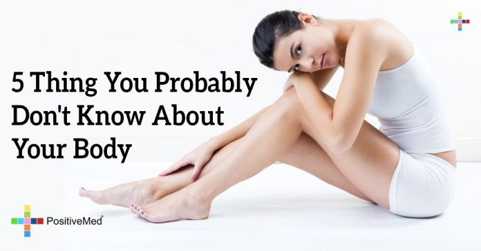 5 Thing You Probably Don T Know About Your Body