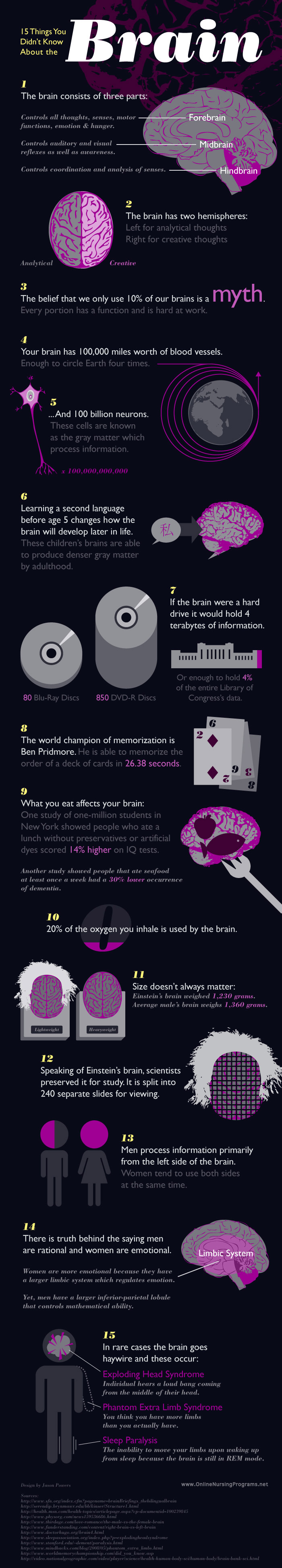 Infographic: 15 Facts You Didn’t Know About the Brain | Infographic A Day