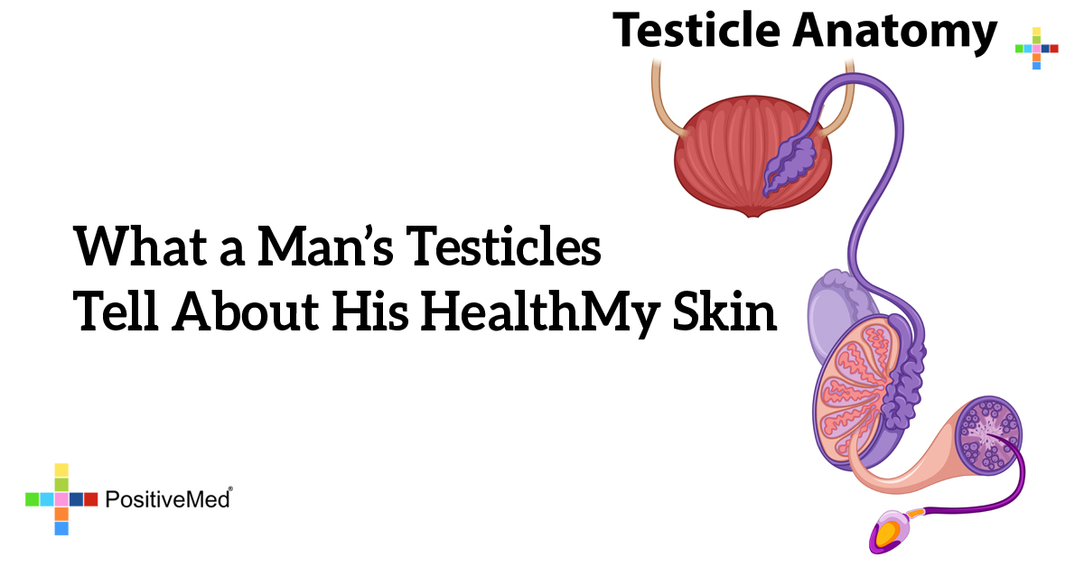 What A Mans Testicles Tell About His Health 