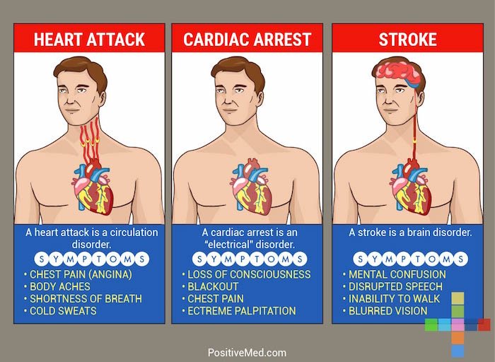 heart attack vs cardiac arrest vs stroke