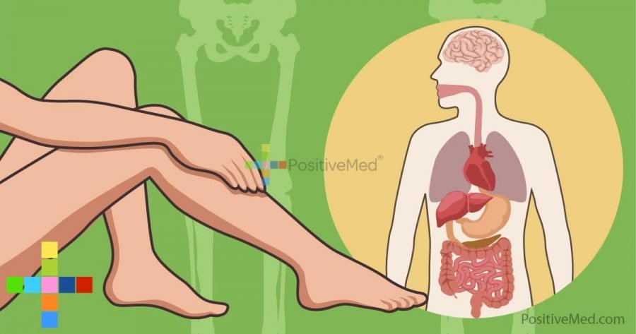 5-ways-your-legs-warn-you-about-your-inner-organs-health
