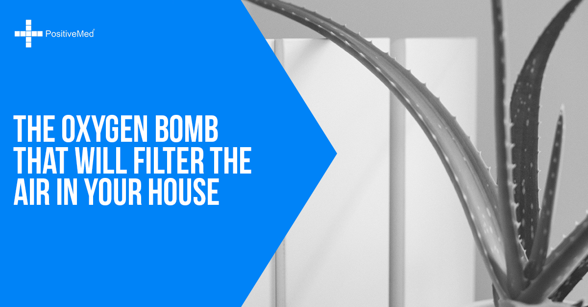 The Oxygen Bomb That Will Filter the Air in Your House