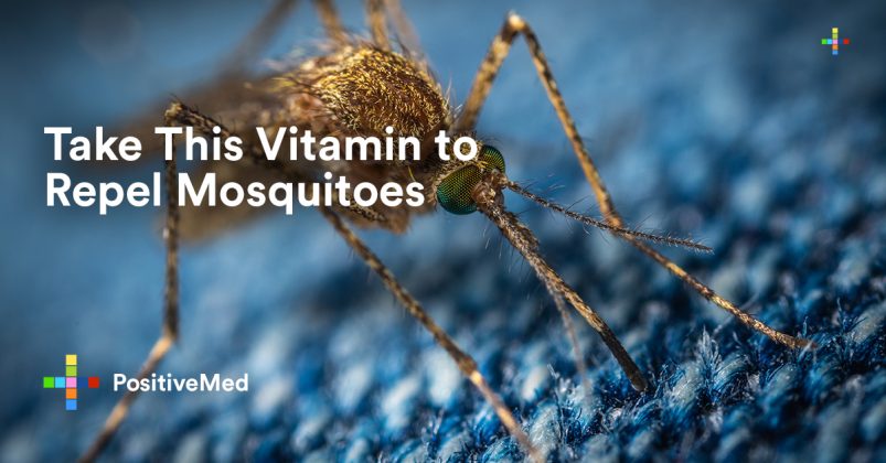 Take This Vitamin To Repel Mosquitoes - PositiveMed