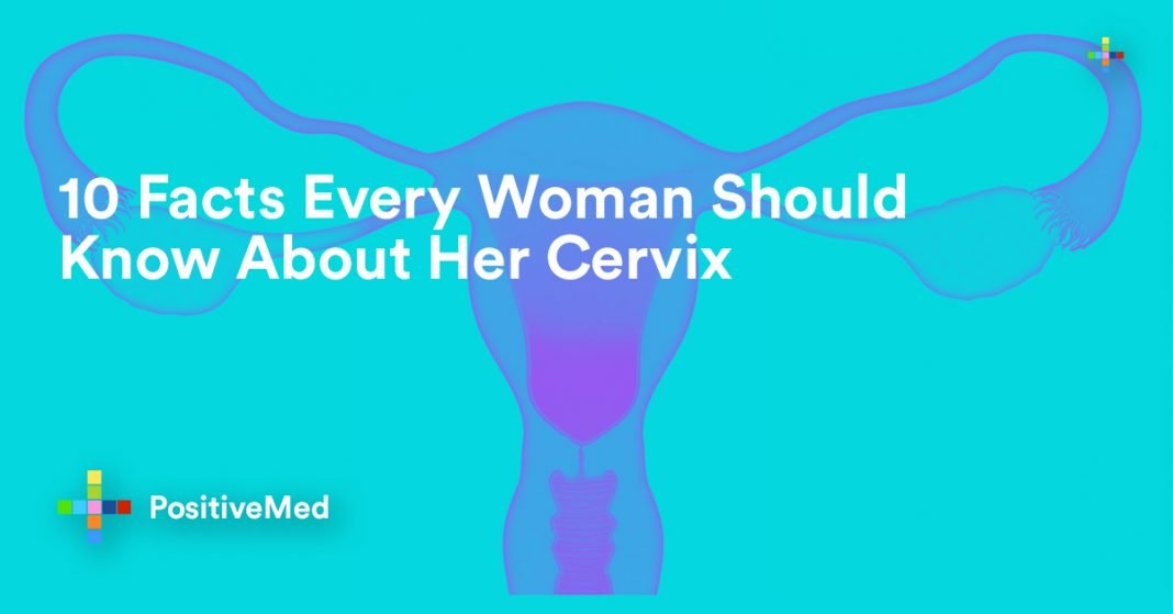 Facts Every Woman Should Know About Her Cervix