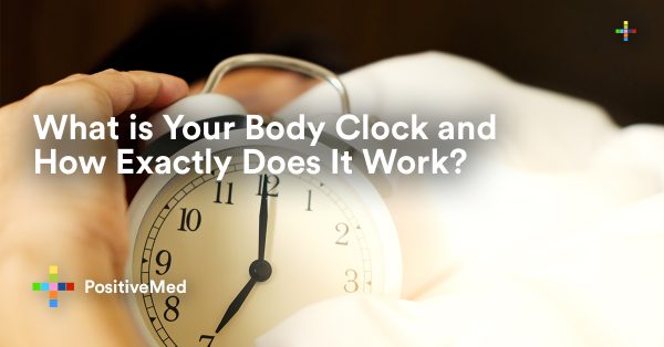 What is Your Body Clock and How Exactly Does It Work?