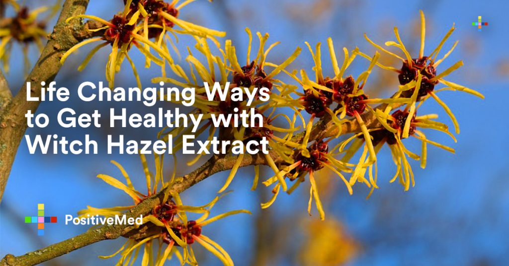 Life Changing Ways to Get Healthy with Witch Hazel Extract