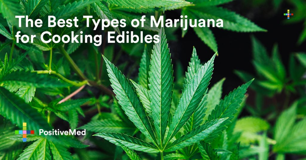 The Best Types of Marijuana for Cooking Edibles.