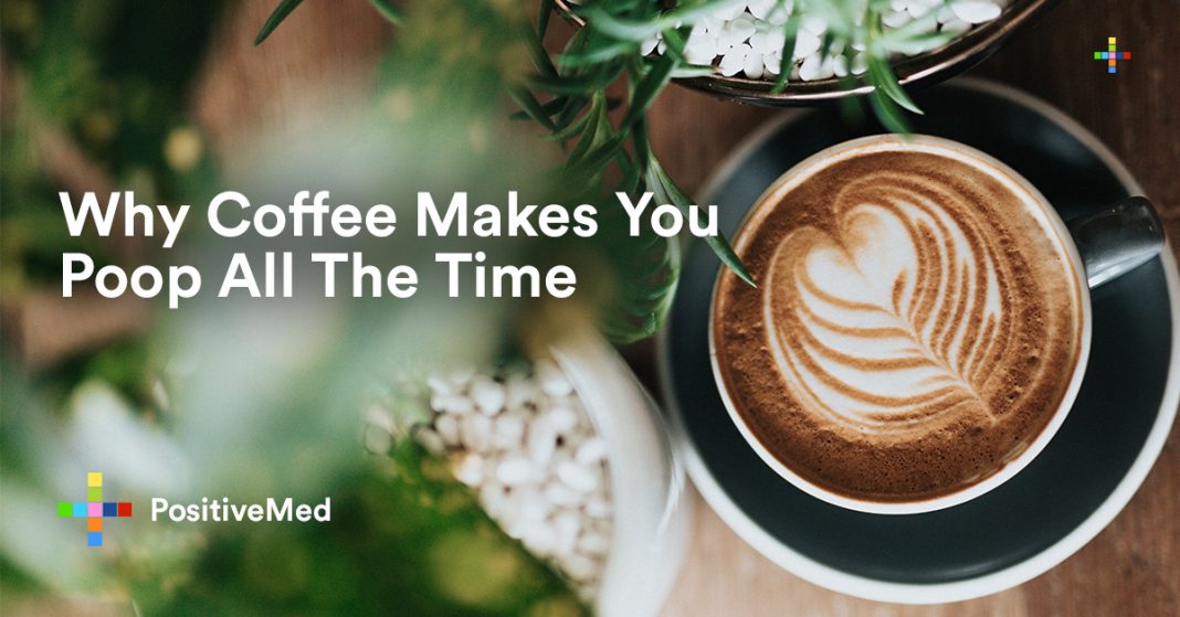 Why Coffee Makes You Poop All The Time PositiveMed