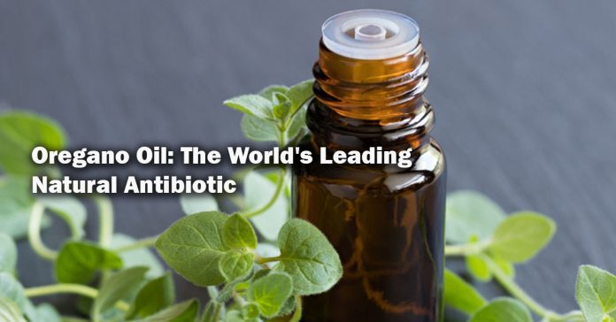 Oregano Oil: The World's Leading Natural Antibiotic - PositiveMed