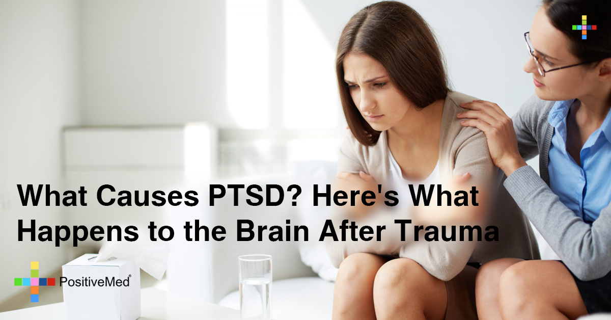 What Causes PTSD? Here's What Happens to the Brain After Trauma  