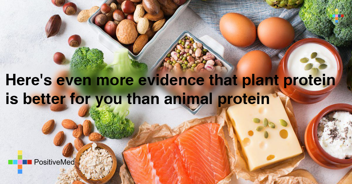 Here's Even More Evidence That Plant Protein Is Better For You Than Animal Protein