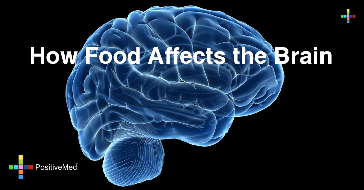 How Food Affects the Brain PositiveMed