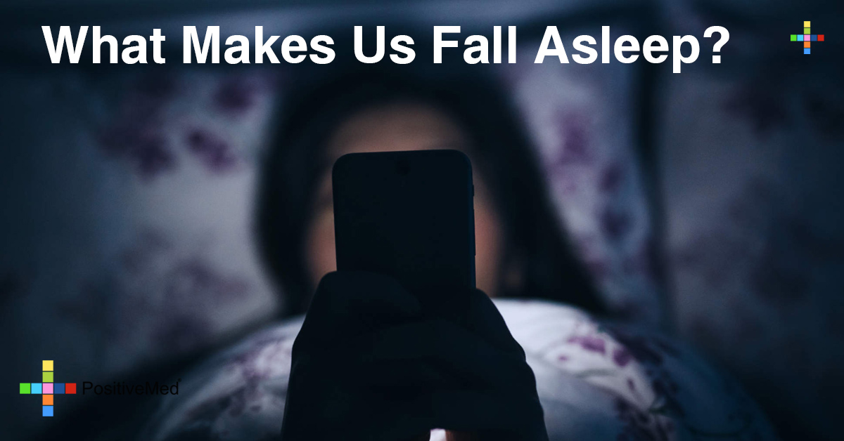 What Makes Us Fall Asleep?