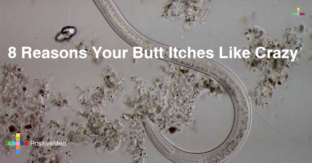 8 Reasons Your Butt Itches Like Crazy 1 Positivemed