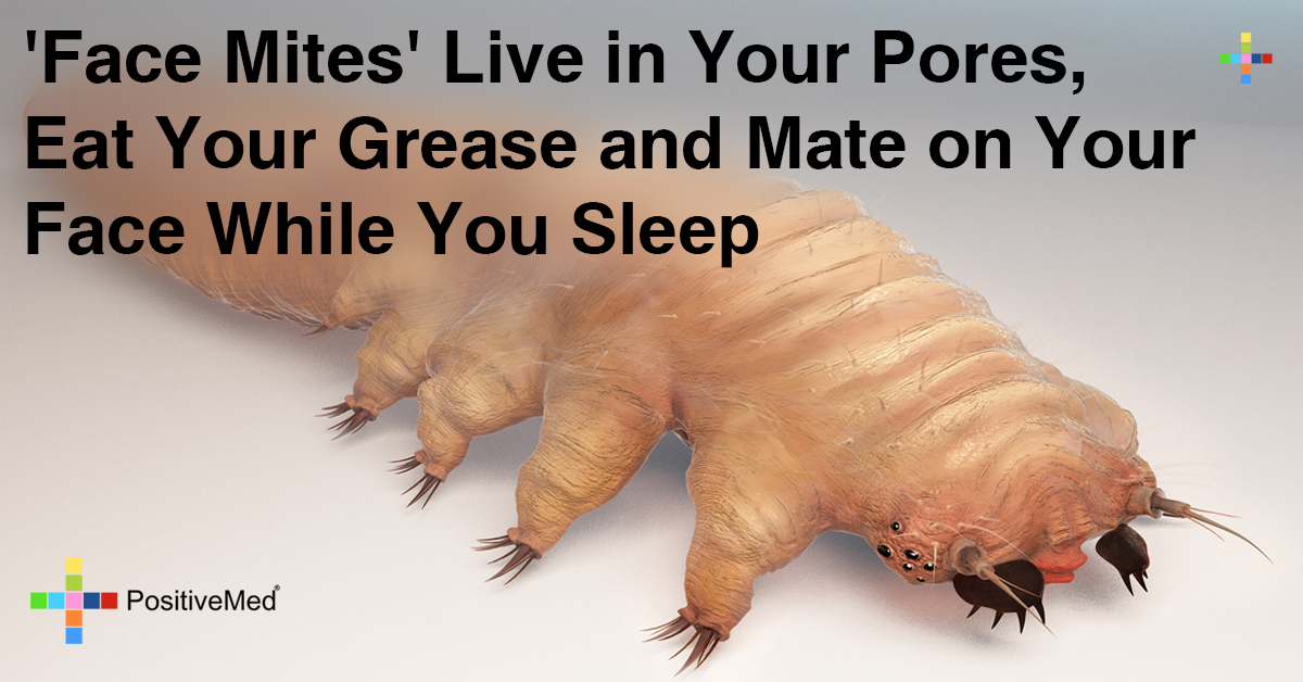 “Face Mites” Live Inside Your Pores, Eat Grease and Mate On Your Face While You Sleep 