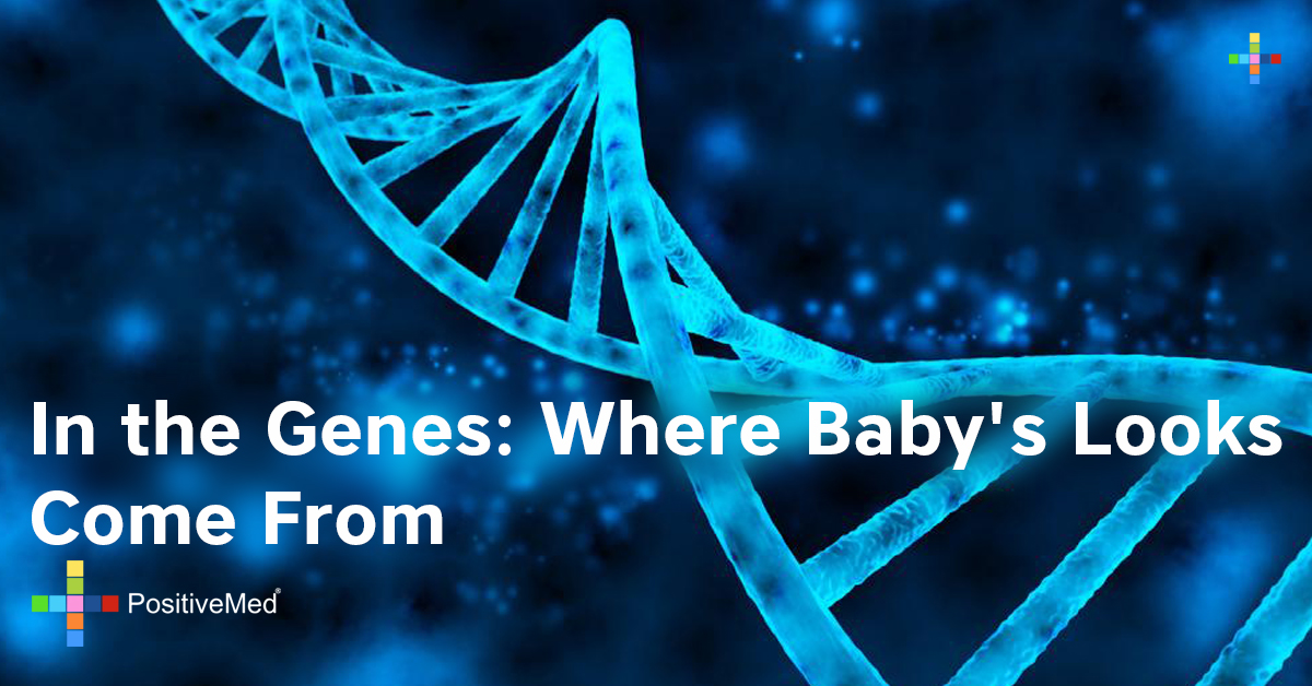 In the Genes: Where Baby's Looks Come From 