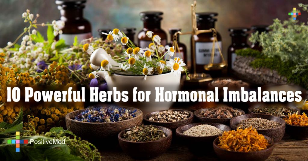 10 Powerful Herbs for Hormonal Imbalances