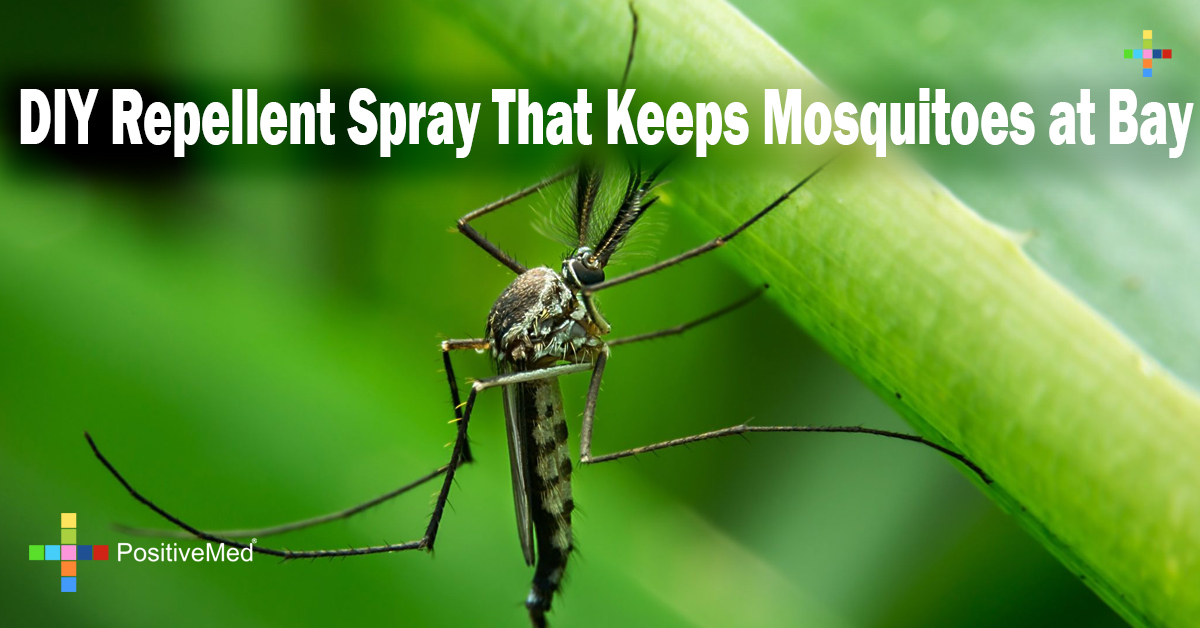 DIY Repellent Spray That Keeps Mosquitoes at Bay