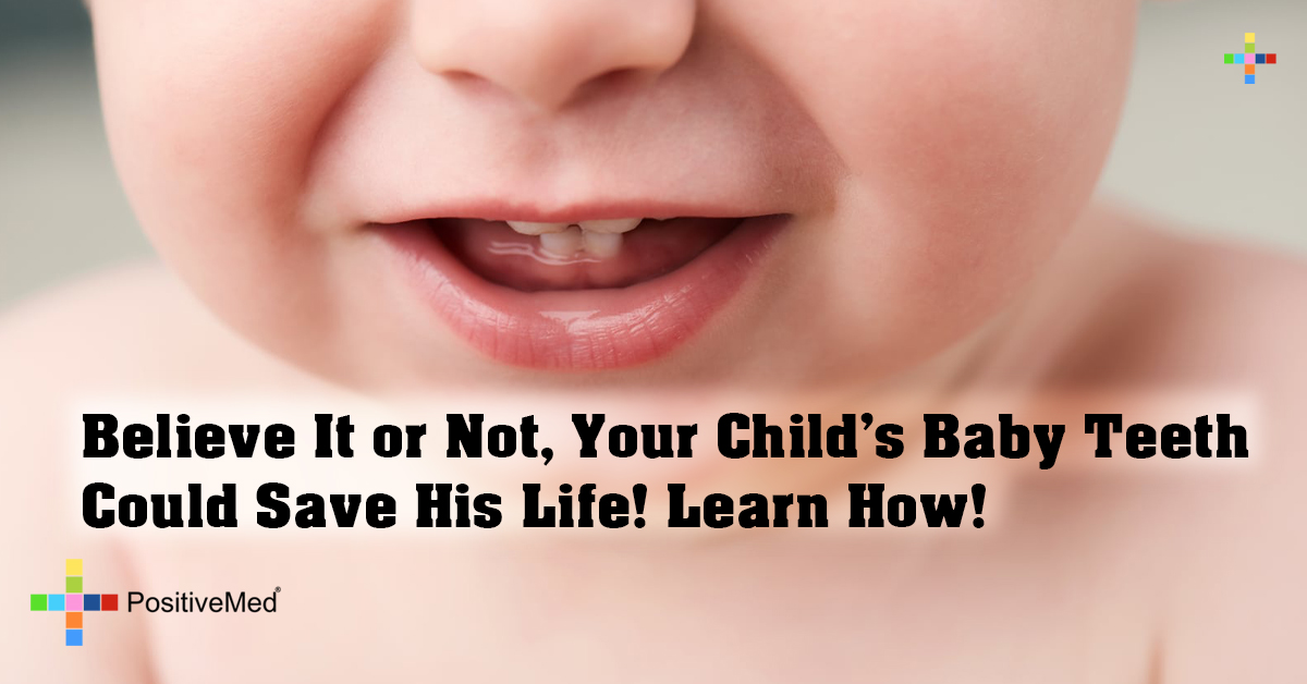 Believe It or Not, Your Child’s Baby Teeth Could Save His Life! Learn How