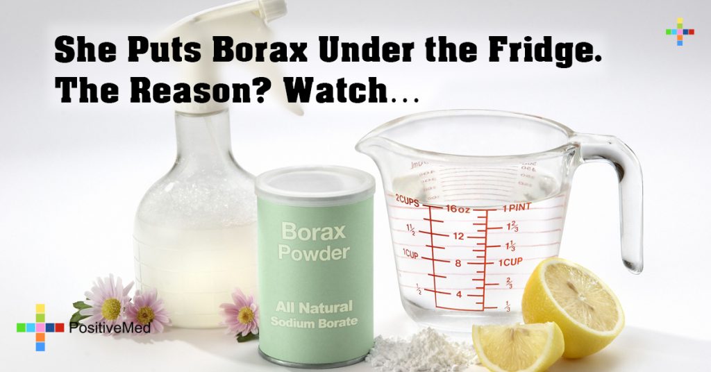 She Puts Borax Under the Fridge. The Reason? Watch...