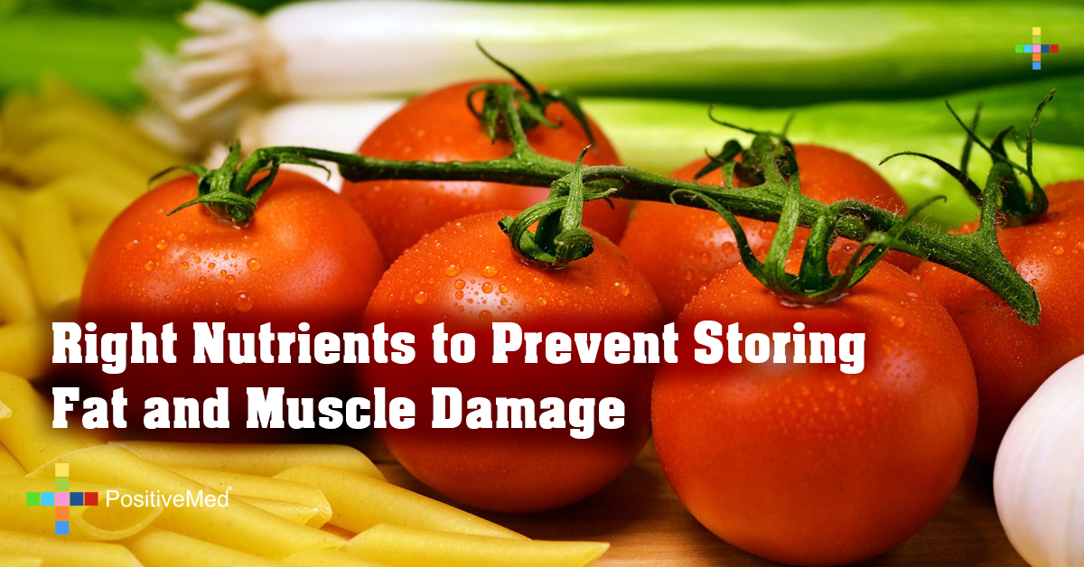 Right Nutrients to Prevent Storing Fat and Muscle Damage