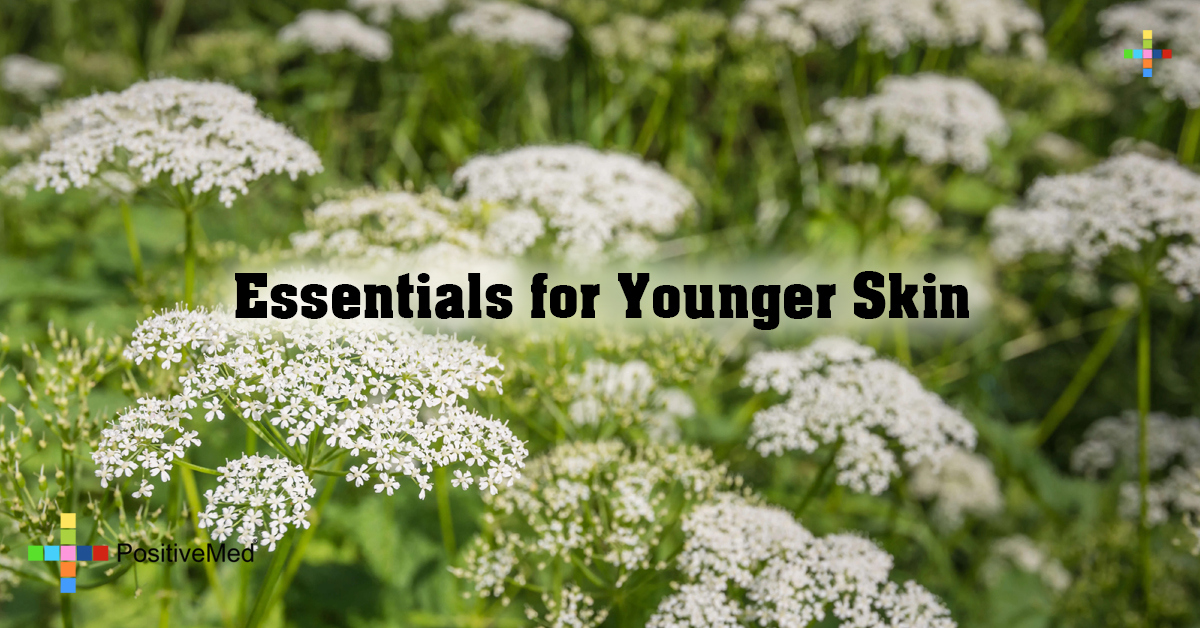 Essentials for Younger Skin