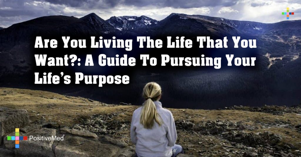 Are You Living The Life That You Want?: A Guide To Pursuing Your Life's ...