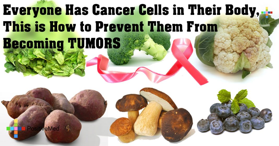 everyone-has-cancer-cells-in-their-body-this-is-how-to-prevent-them