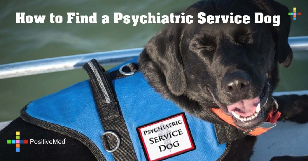 psychiatric service dog tasks