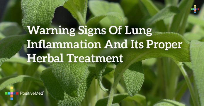 Warning Signs of Lung Inflammation and Its Proper Herbal Treatment ...