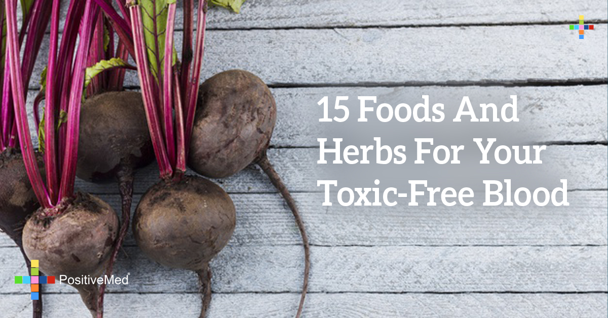 15 Foods And Herbs For Your Toxic-Free Blood - PositiveMed