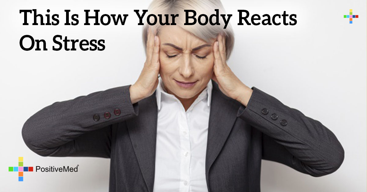 This Is How Your Body Reacts On Stress - PositiveMed