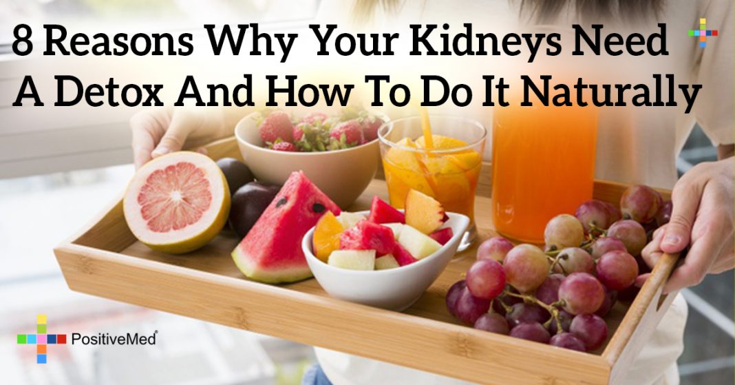 8 Reasons Why Your Kidneys Need A Detox And How To Do It Naturally ...