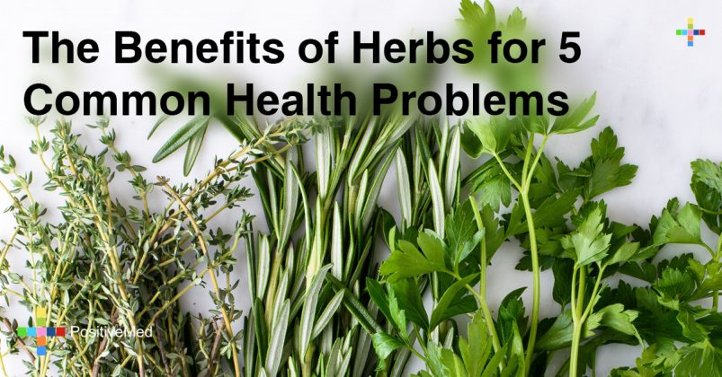 the-benefits-of-herbs-for-5-common-health-problems-positivemed