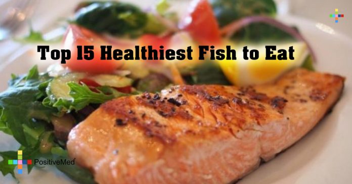 Top 15 Healthiest Fish To Eat - PositiveMed