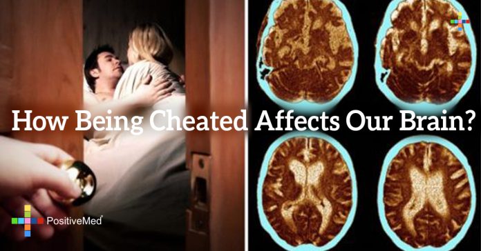 How Being Cheated Affects Our Brain? - PositiveMed