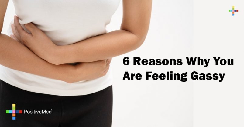 6 Reasons Why You Are Feeling Gassy 9491