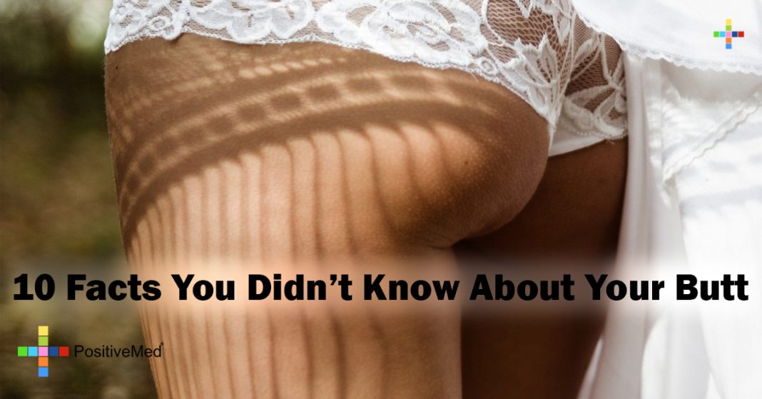 10-facts-you-didn-t-know-about-your-butt