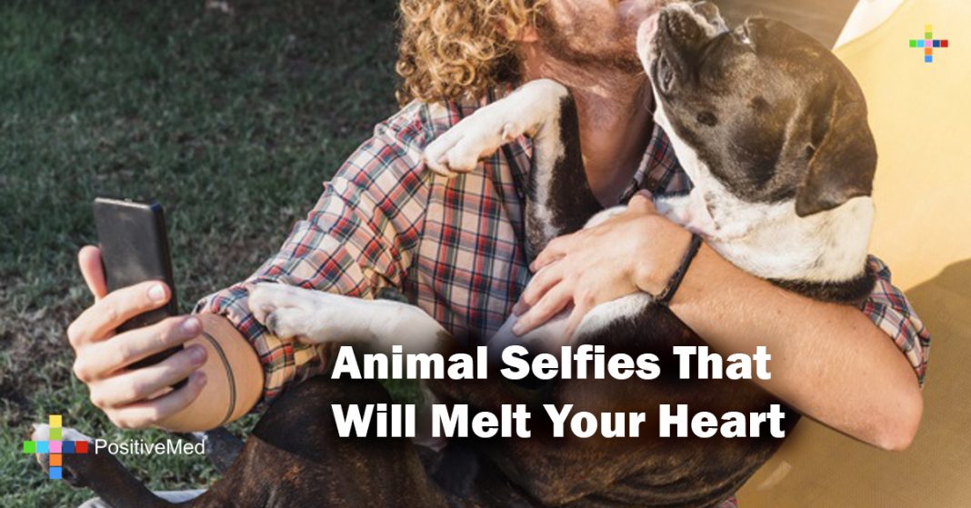 animal-selfies-that-will-melt-your-heart